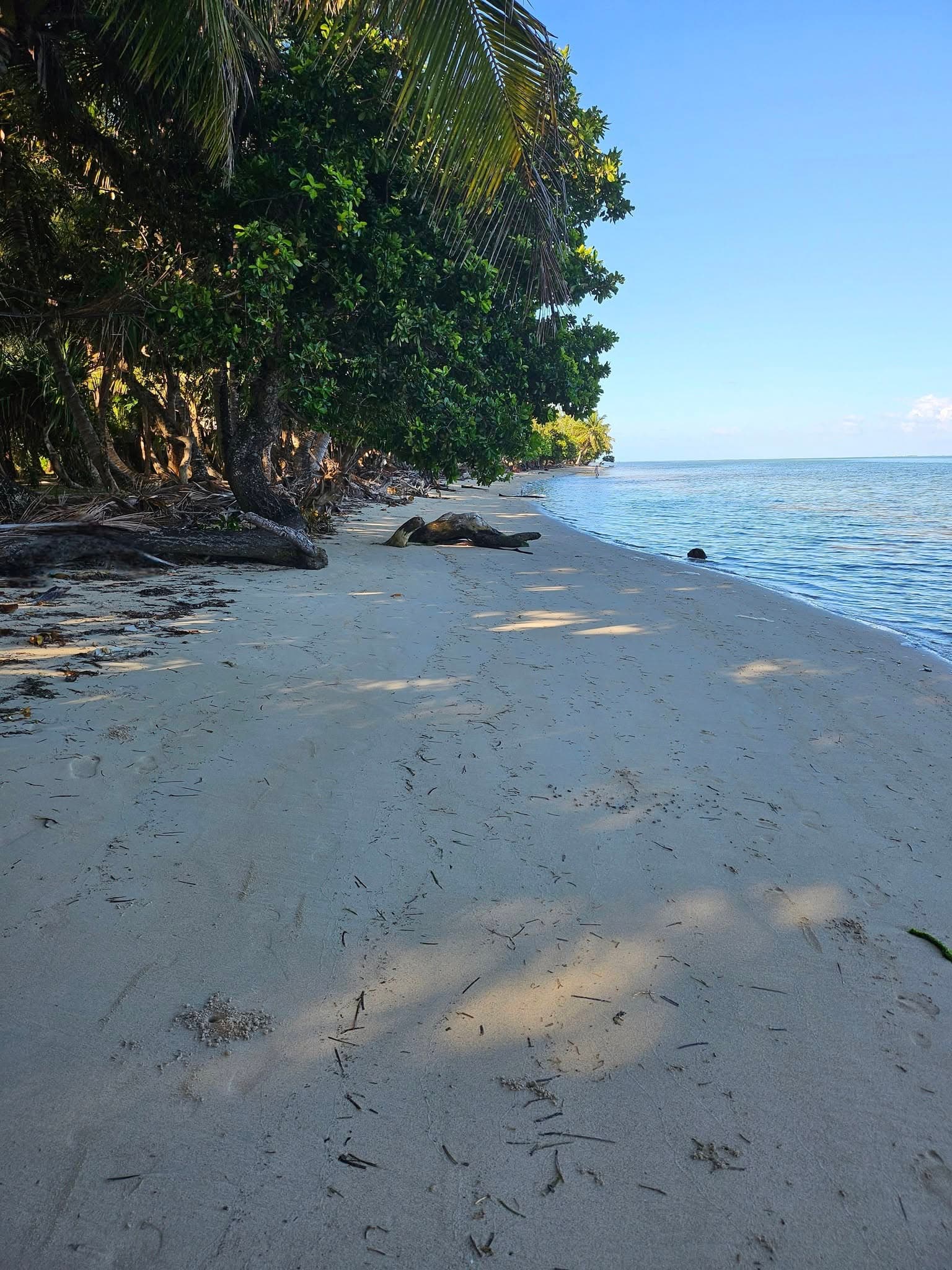 Terrain Vue Mer — Sainte-Marie