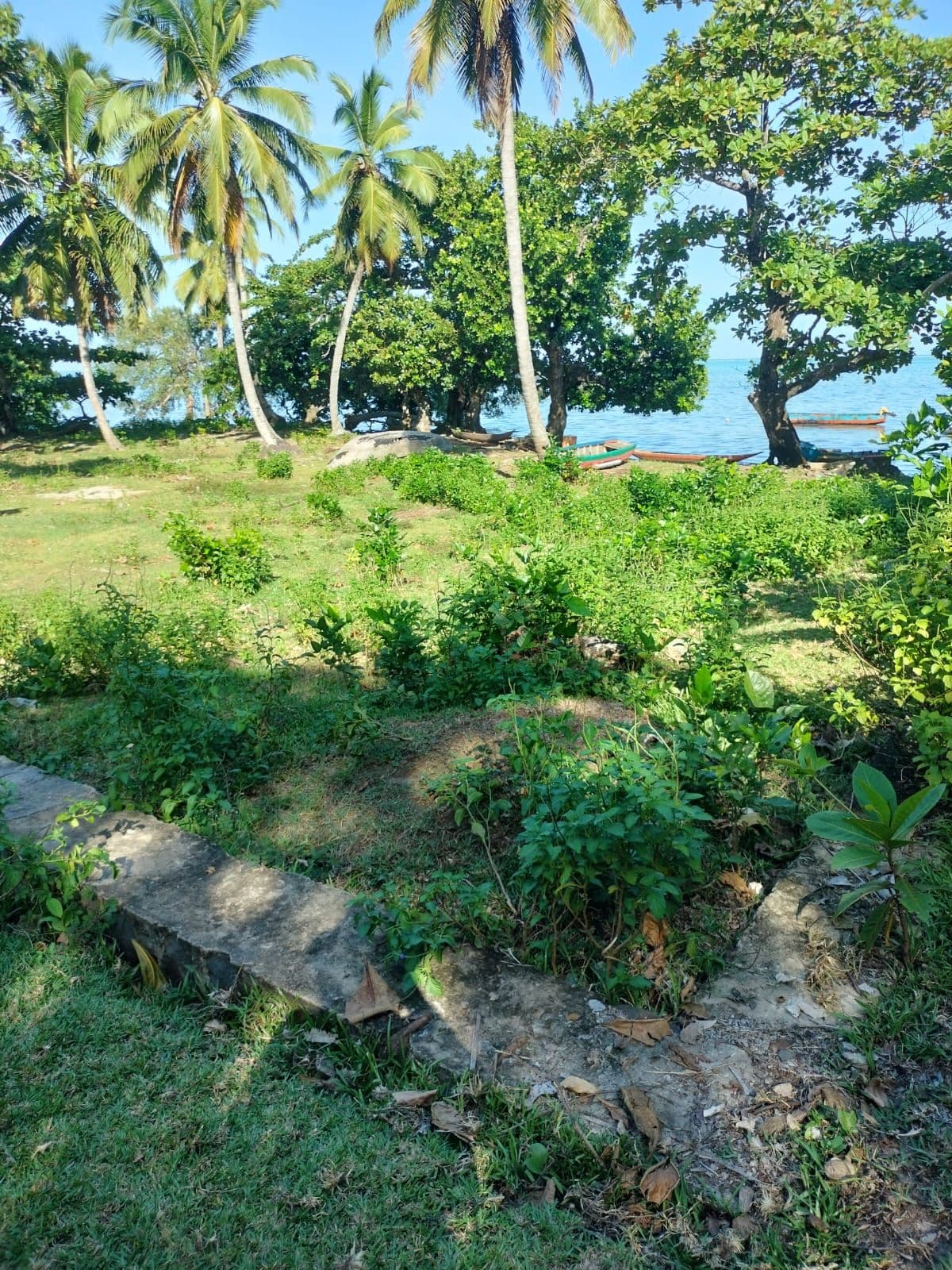 Terrain Titré — Île aux Nattes